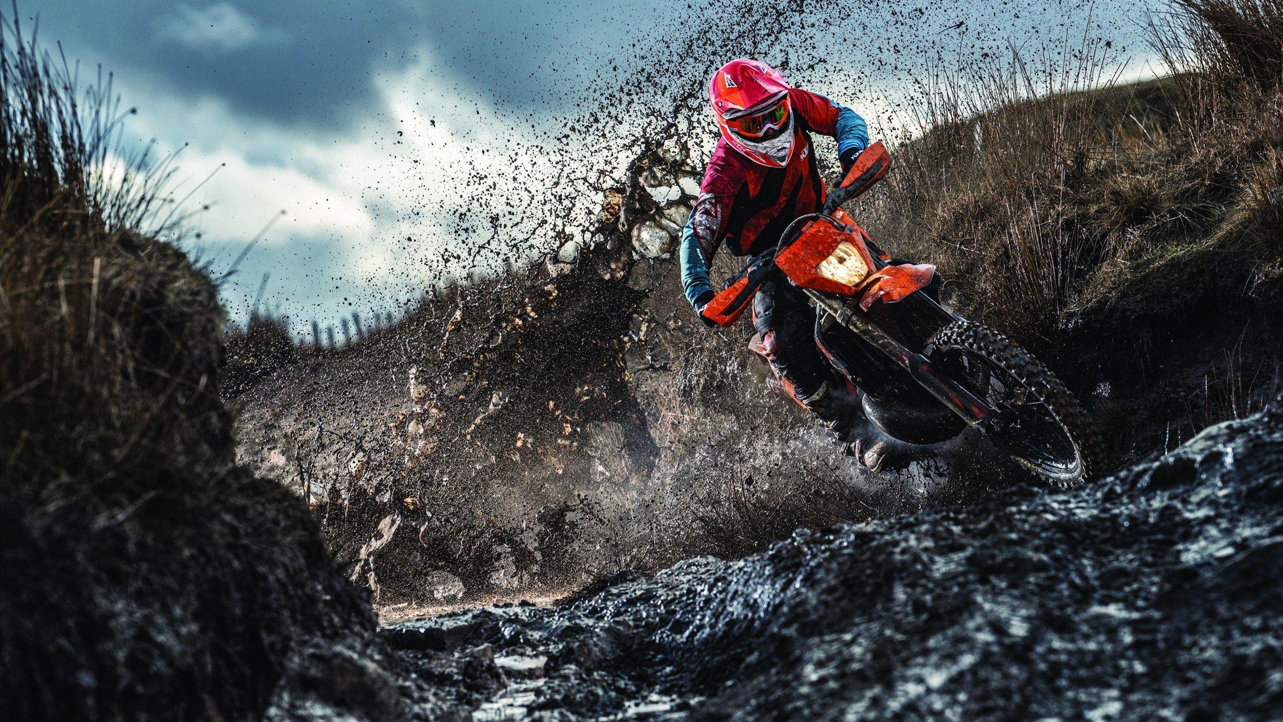 【早报】32队全数登场：葡萄牙拒绝剧本！巴西独一档？